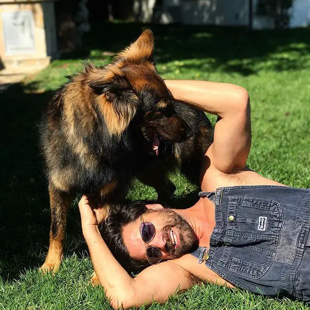 John Stamos lying on the grass while his German Shepherd is standing behind him