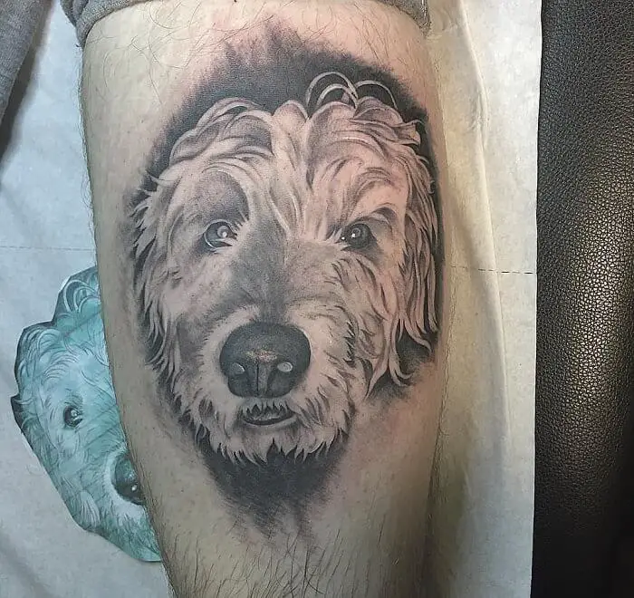 3D black and gray face of a Goldendoodle tattoo on the leg