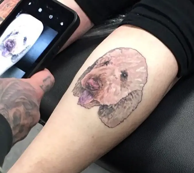 face of a Goldendoodle watercolor tattoo on the forearm