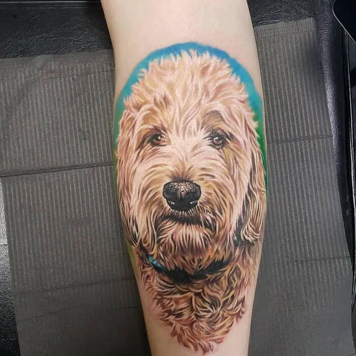 a realistic face of a Goldendoodle tattoo on the leg