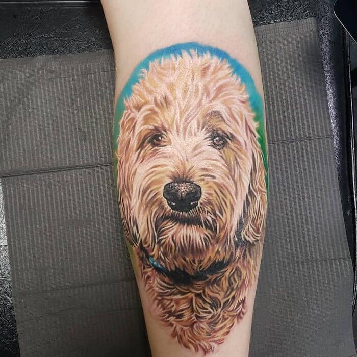 a realistic face of a Goldendoodle tattoo on the leg