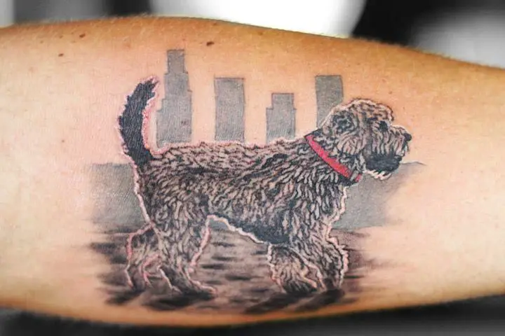 a Goldendoodle running in the city 3D tattoo on the forearm