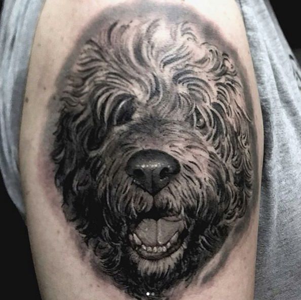 3D black and gray face of a Labradoodle tattoo on the shoulder