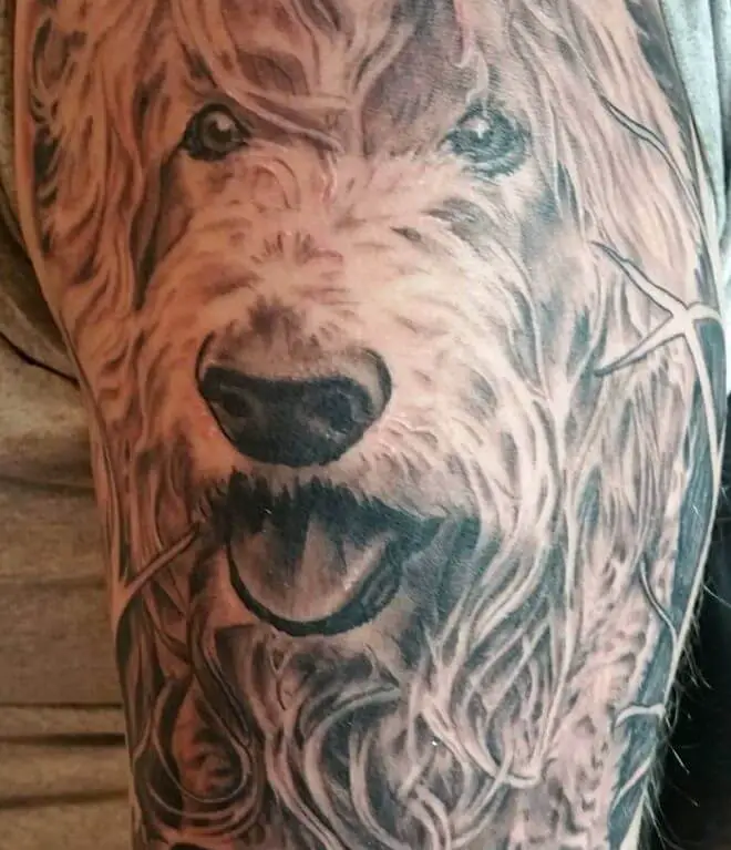 a large black and gray Labradoodle tattoo on the shoulder