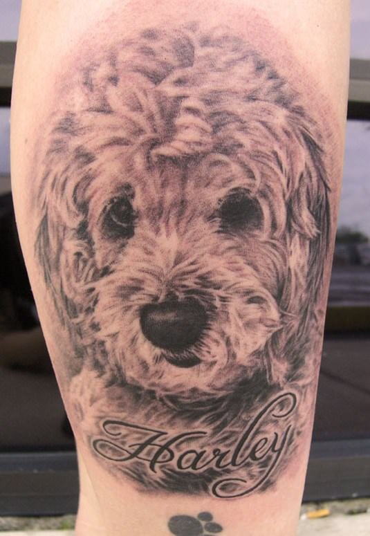 A 3D black and gray adorable face of a Labradoodle puppy tattoo on the thigh