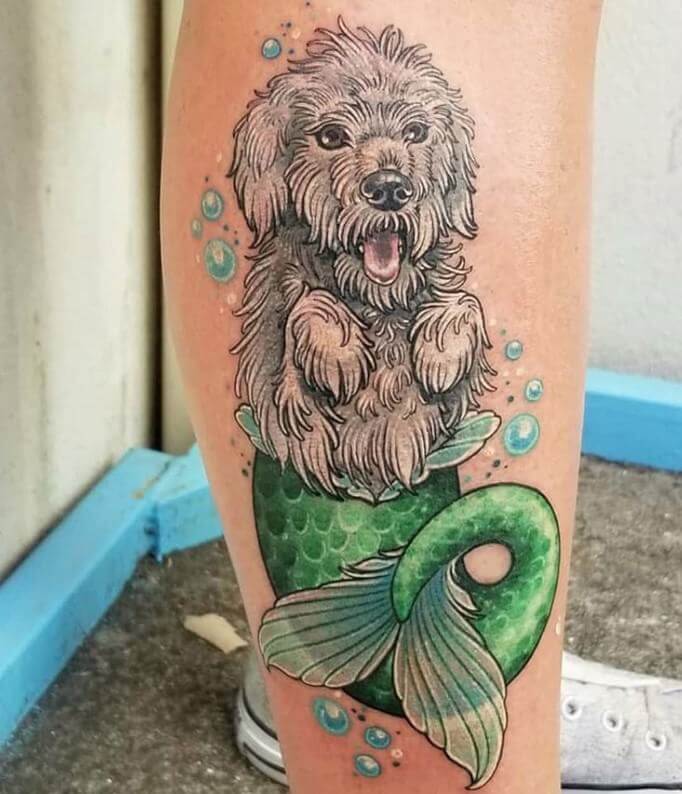 a mermaid Labradoodle with green tail and with bubbles tattoo on leg