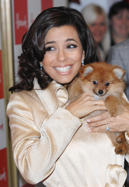 Eva Longoria holding her Pomeranian puppy against her chest