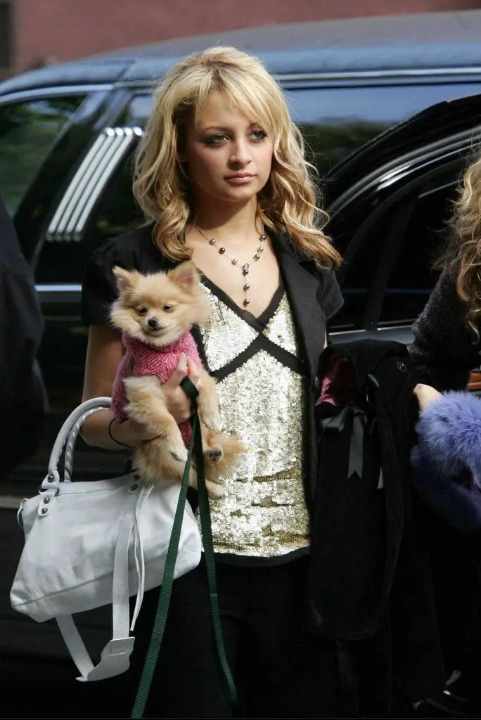 Nicole Richie walking out from her car while carrying her Pomeranian wearing her cute pink sweater