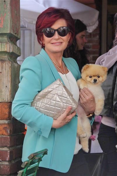 Sharon Osbourne carrying her cute Pomeranian