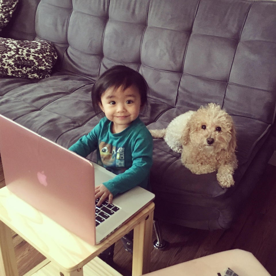 cream Poodle puppy lying on top of the couch behind the kid in laptop