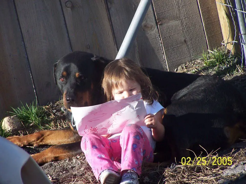 girl leaning beside a Rottweiler dog in the garden
