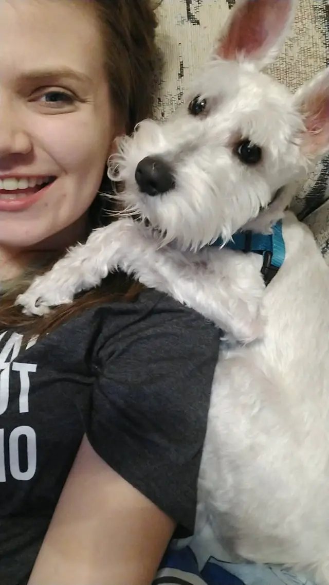 A woman lying in bed while taking a selfie with her white Schnauzer