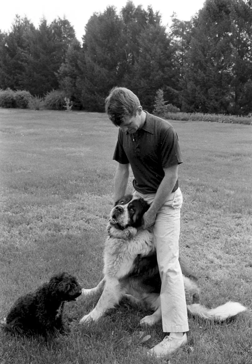 Bobby Kennedy standing in the yard with his St. Bernard sitting in between his legs