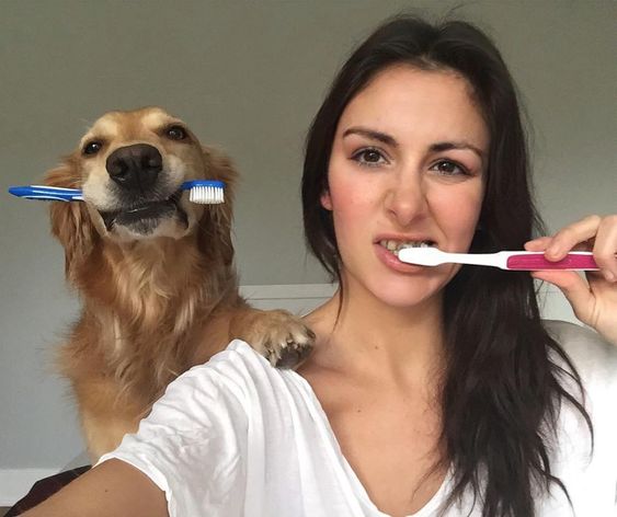 girl brushing her teeth with a Labrador while taking a selfie