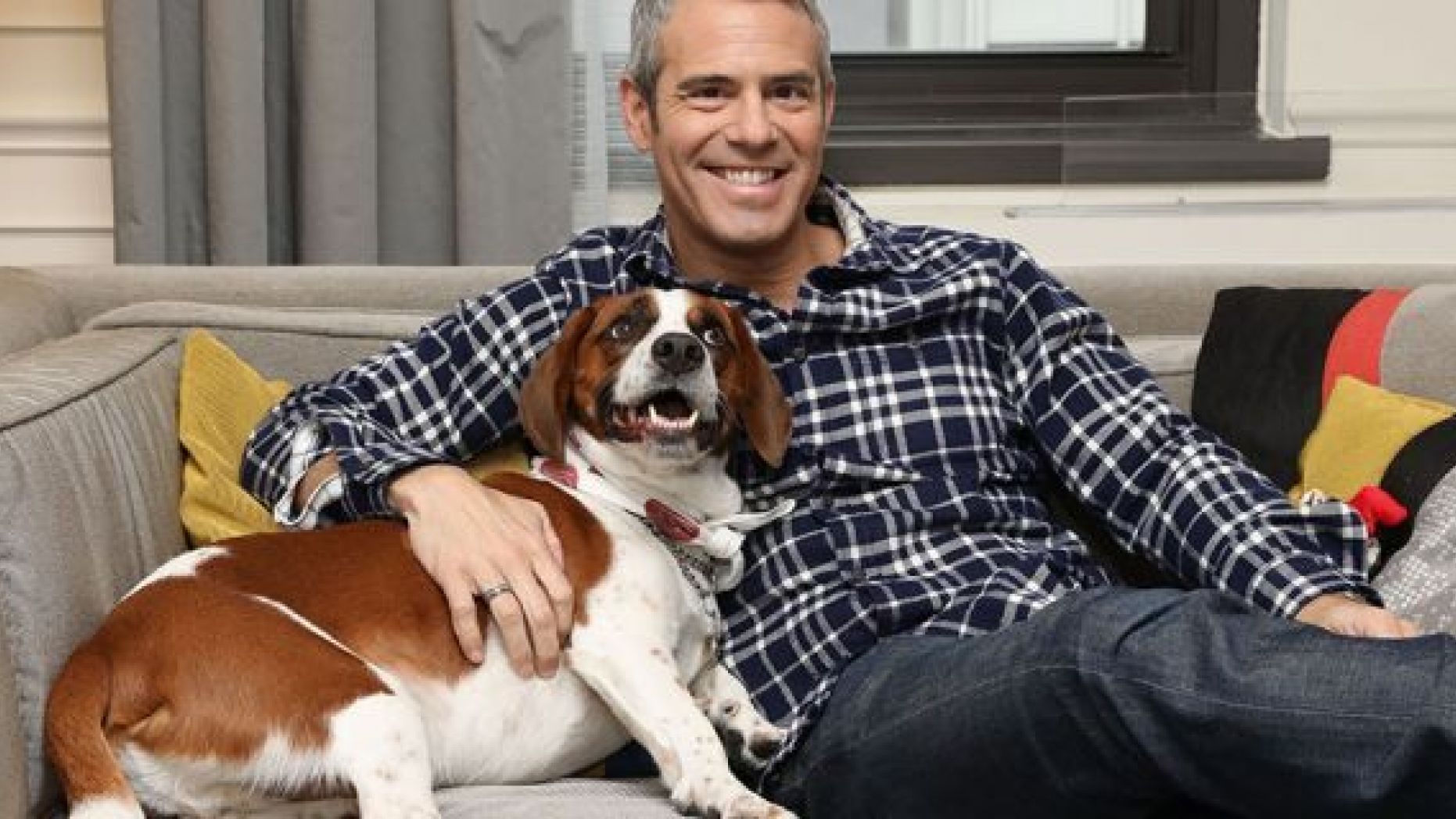 Andy Cohen sitting on the couch next to his Beagle