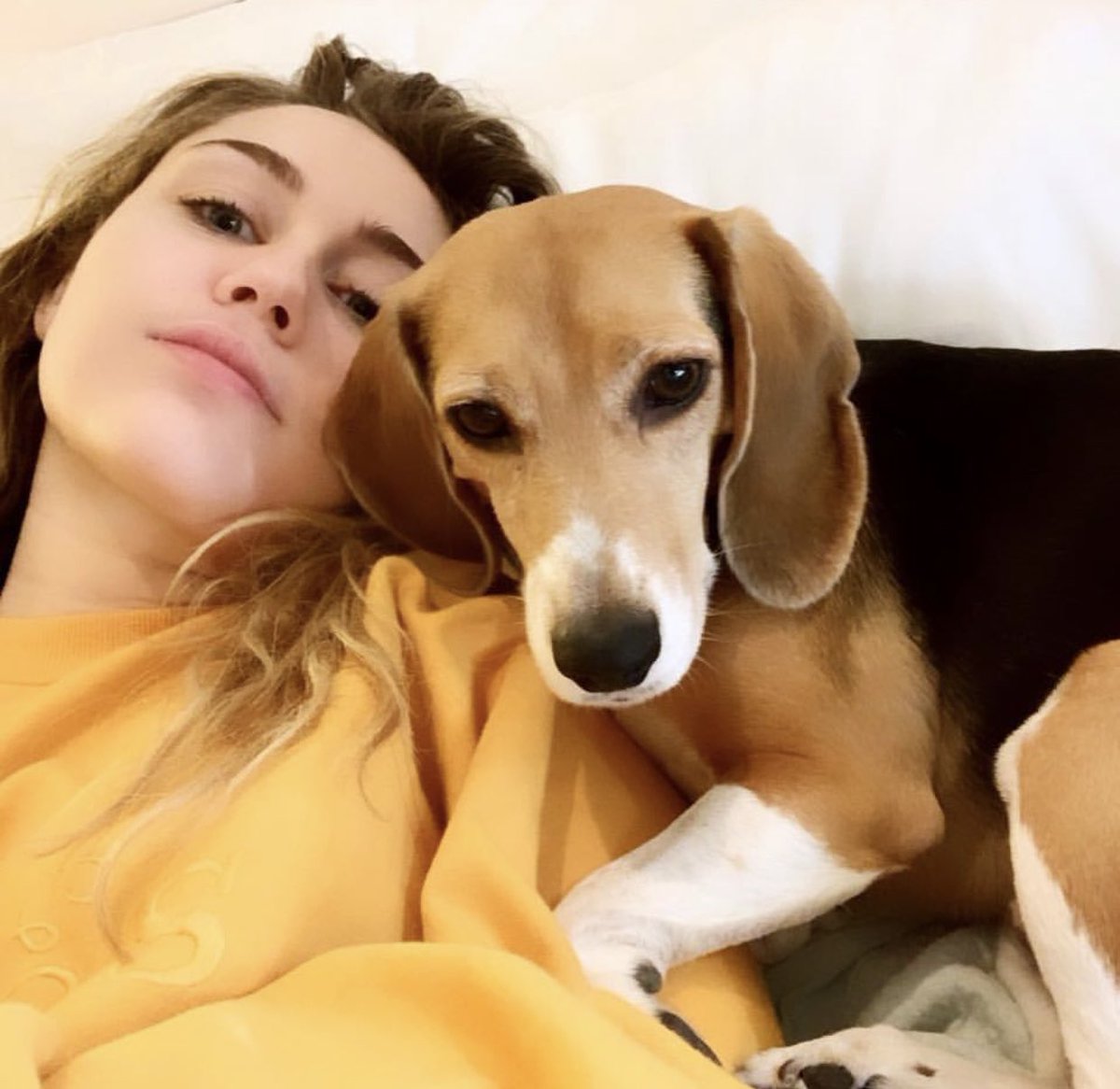 Miley Cyrus taking a selfie while lying on her bed next to her Beagle