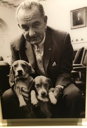 Johnson sitting on the chair with his two Beagle puppies in between his legs