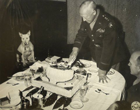 old photo of General Patton slicing a cake while his Bull Terrier is sitting on the chair