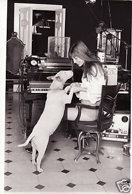 Jane Birkin sitting on the chair in front of the piano while holding the hands of her standing up Bull Terrier