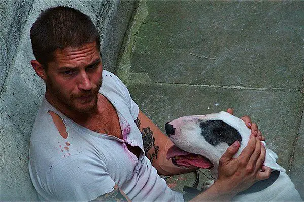 Tom Hardy sitting on the pavement with a Bull Terrier