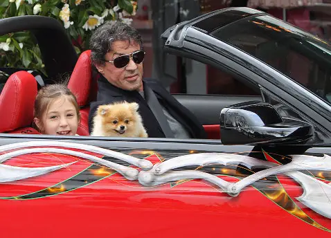 Sylvester Stallone inside the car with her kid and their Pomeranian