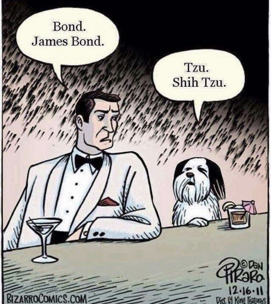 comic art of a Shih Tzu sitting with a man in white suit and having a conversation that goes: Bond. James Bond. - Tzu, Shih Tzu.