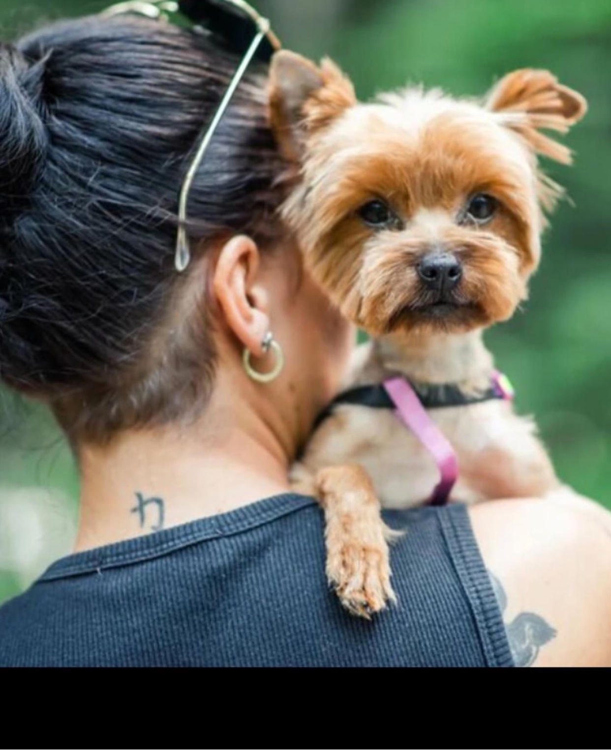 A woman carrying a Yorkshire Terrier