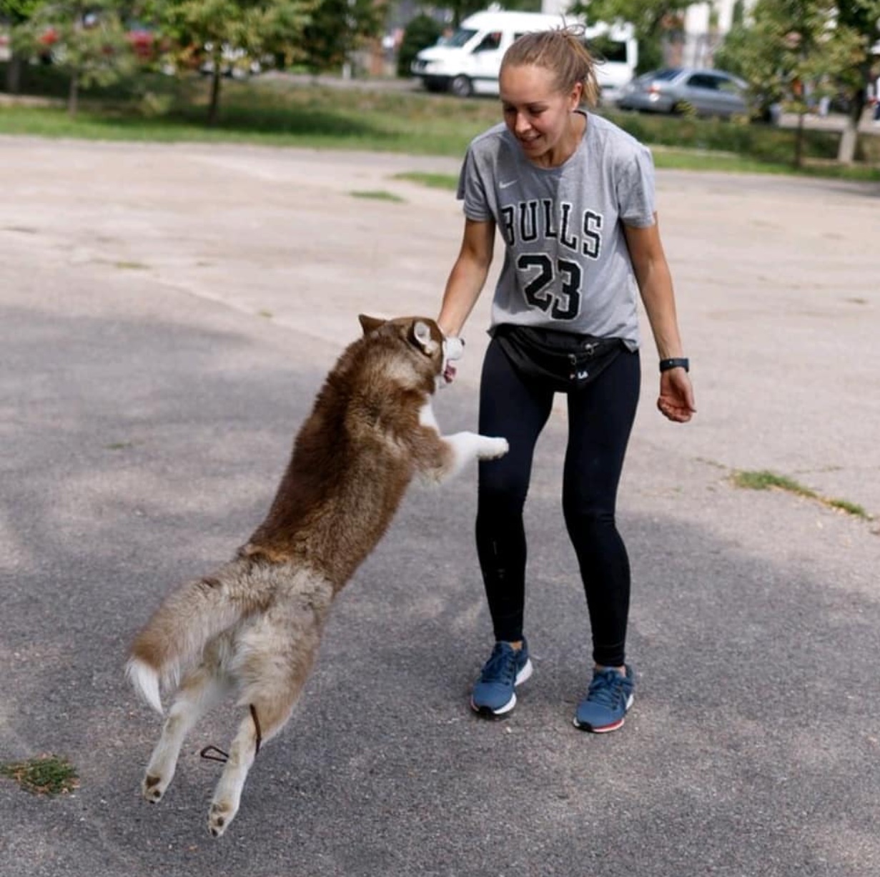 a Husky jumping towards the woman standing in front of him