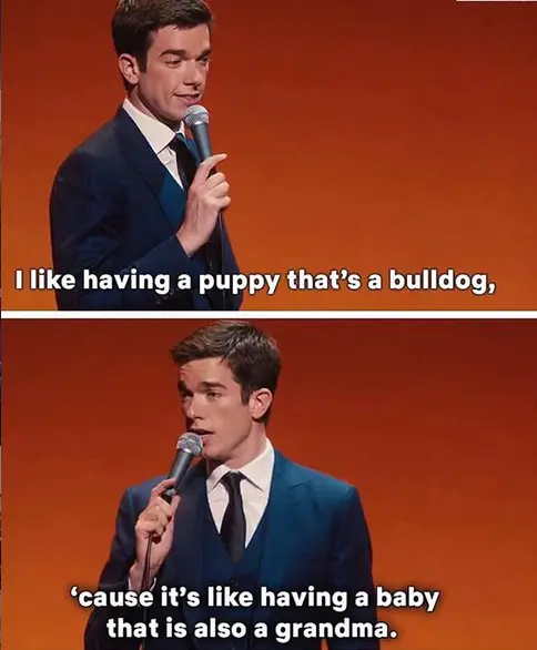 a man with a microphone saying - I like having a puppy that's a bulldog, cause it's like having a baby that is also a grandma.