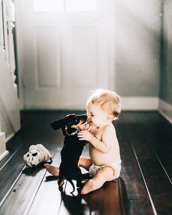 A toddler sitting on the floor while a Dachshund puppy is smelling his face