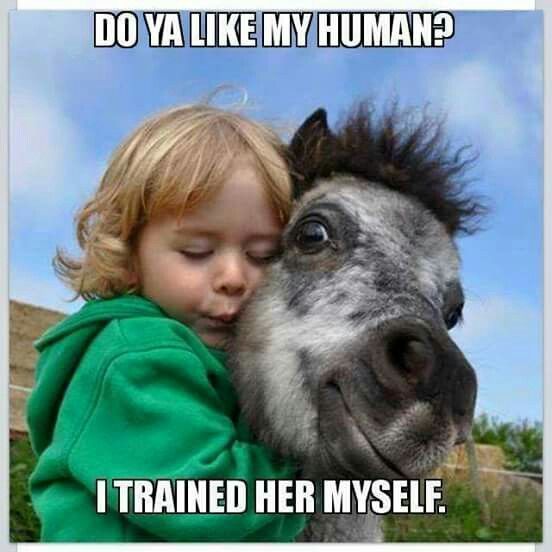 Funny Horse Meme with a smiling horse while a kid is hugging him and a text 