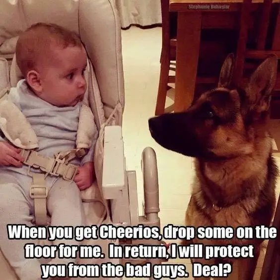 A German Shepherd sitting on the floor while staring at the kind the stroller next to him photo with text - When you get cheerios, drop some on the floor for me. In return, I will protect you from the bad guys. Deal?