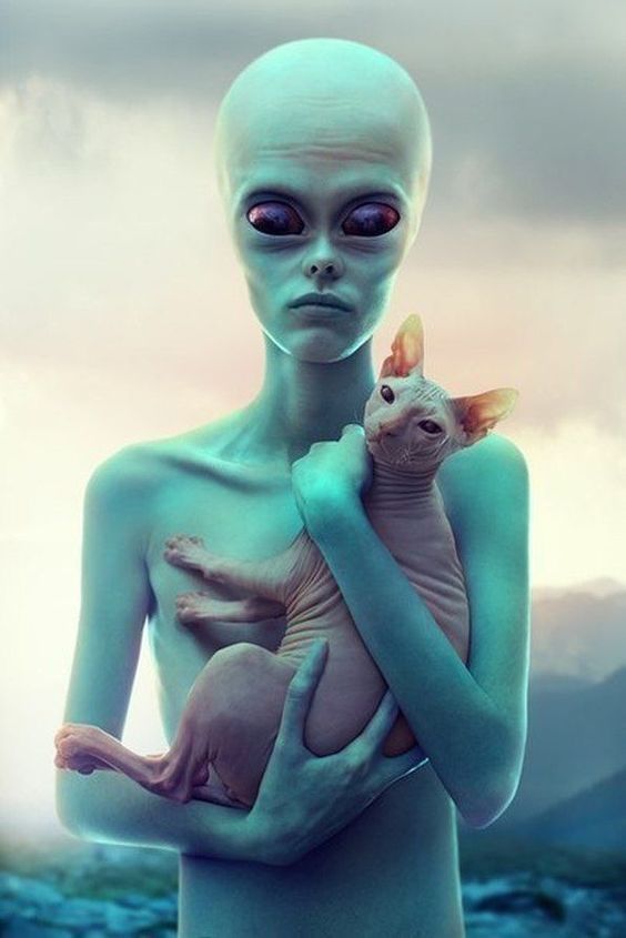 an alien carrying a Sphynx Cat in its arms