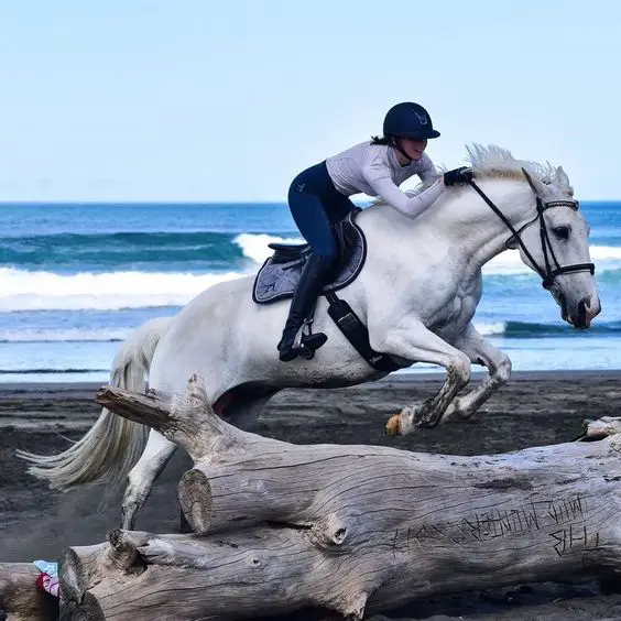 girl riding a horse at the seashore