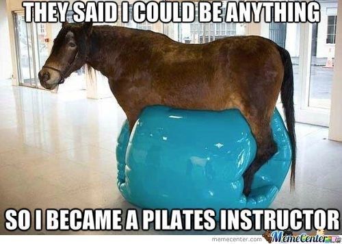 Funny Horse Meme of a horse riding a workout ball and a text 