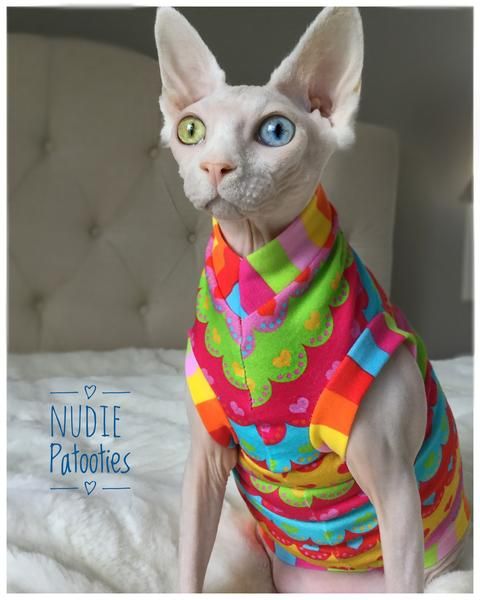 Sphynx Cat with green and blue eyes wearing cute sweater