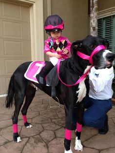 a girl riding a Great Dane dog