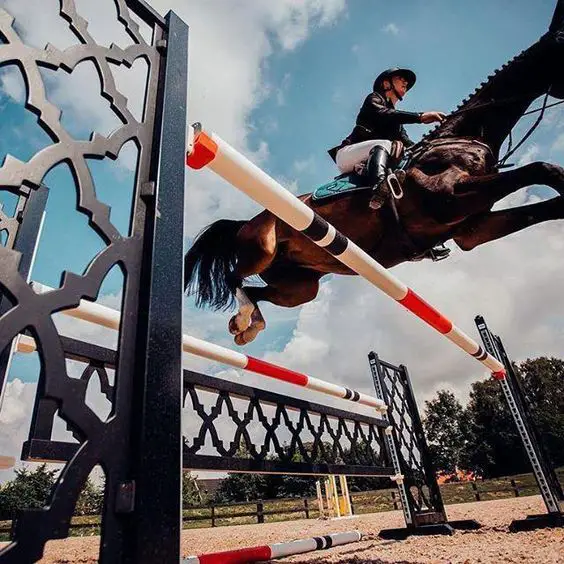 girl riding a horse jumping on a high fence