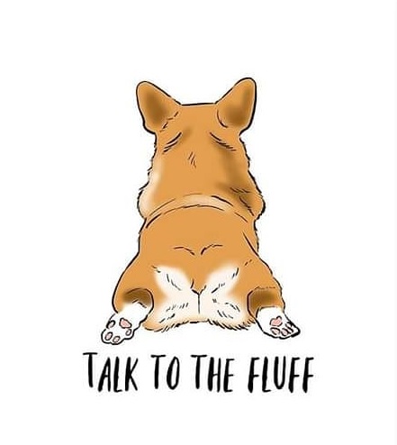 an artwork of a Corgi showing its butt and with text - talk to the fluff