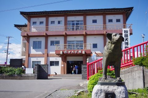 An Akita Inu statue