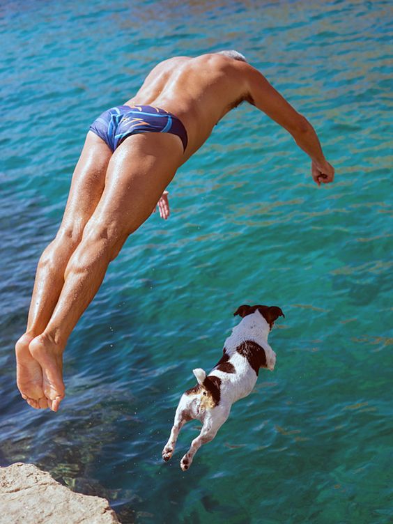 Jack Russell jumping from a cliff towards the water with a professional swimmer
