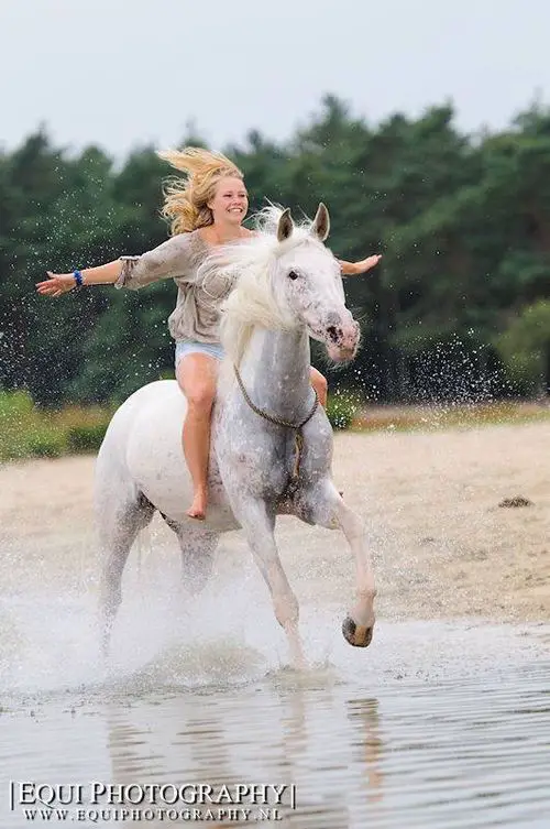 a girl riding white horse at the beach