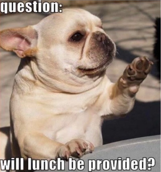 A Bulldog standing behind while raising its right paw and with text - question: will lunch be provided