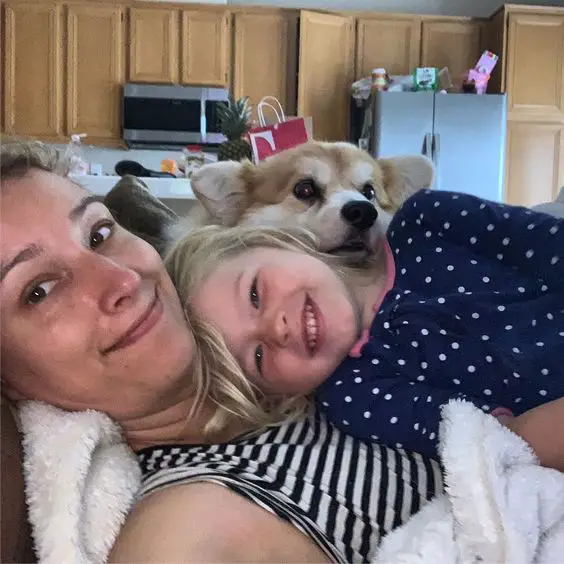 a Corgi resting its head on top of a kid while a kid is lying on her mother's chest