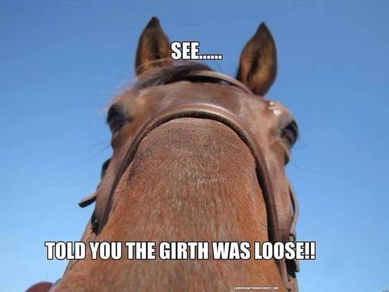Funny Horse Meme of a close up pic of a horse and a text 