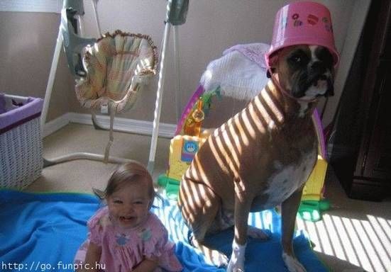 A young girl laughing while sitting next to a boxer dog wearing a pink bucket on top of its head.