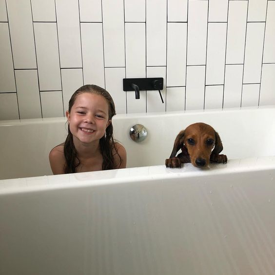 a girl in the bathtub with a Dachshund