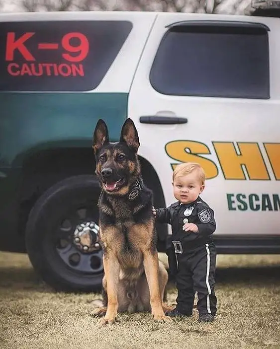 A German Shepherd sitting on the ground next to the kid in police costume