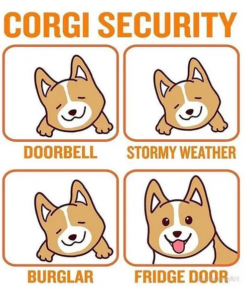 a Corgi security where an artwork of a Corgi sleeping - doorbell, stormy weather, burglar, and when the fridge door - an artwork of a smiling Corgi