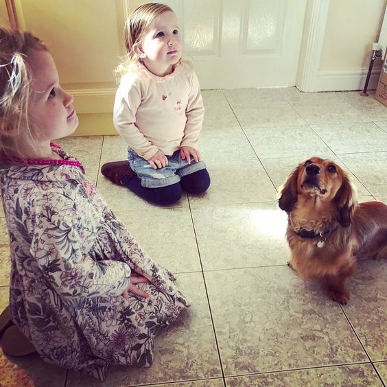 two girls kneeling on the floor with a Dachshund standing in front of them while they are looking up